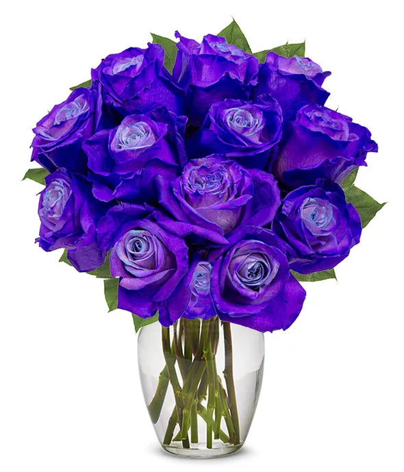 One Dozen Radiant Purple Roses - ROSE GARDEN