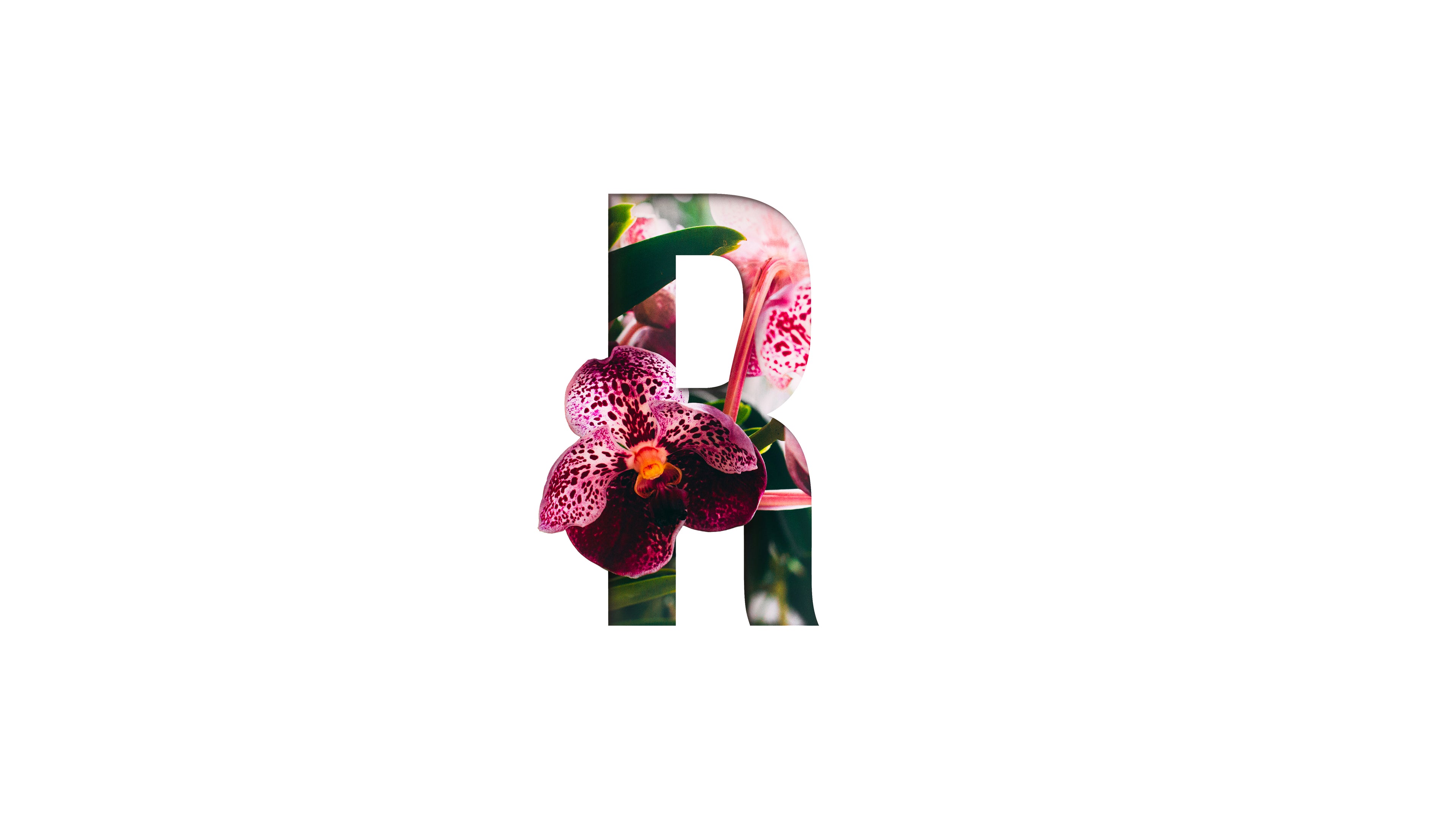 customize order - ROSE GARDEN
