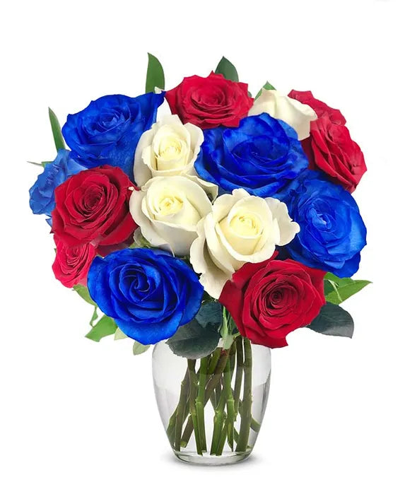 Red, White, and Blue Roses - ROSE GARDEN