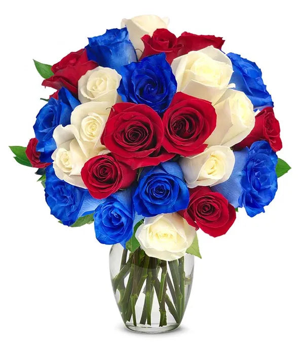 Red, White, and Blue Roses - ROSE GARDEN