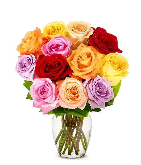 Two Dozen Rainbow Roses - ROSE GARDEN