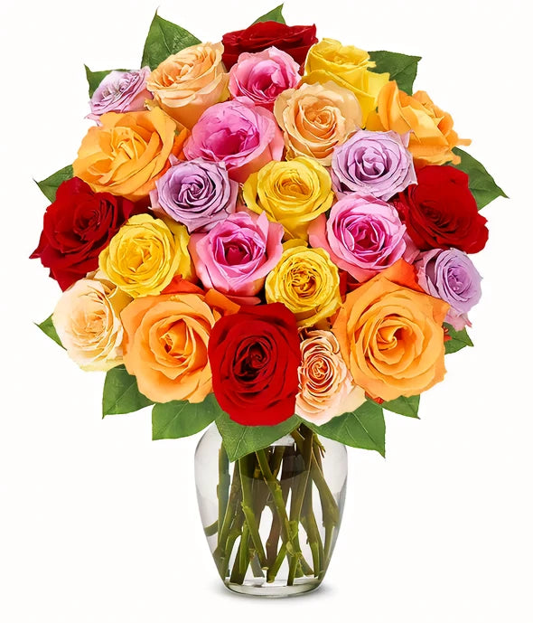 Two Dozen Rainbow Roses - ROSE GARDEN