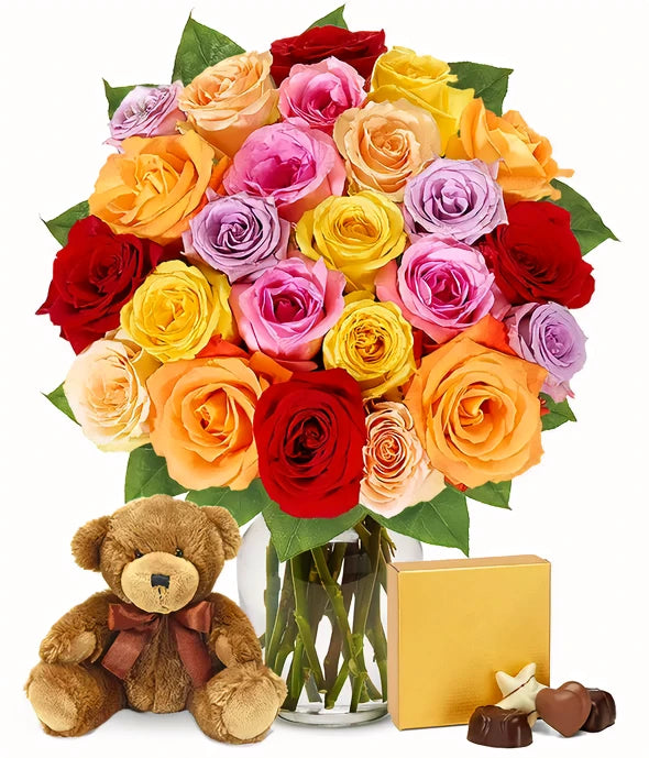 Two Dozen Rainbow Roses - ROSE GARDEN