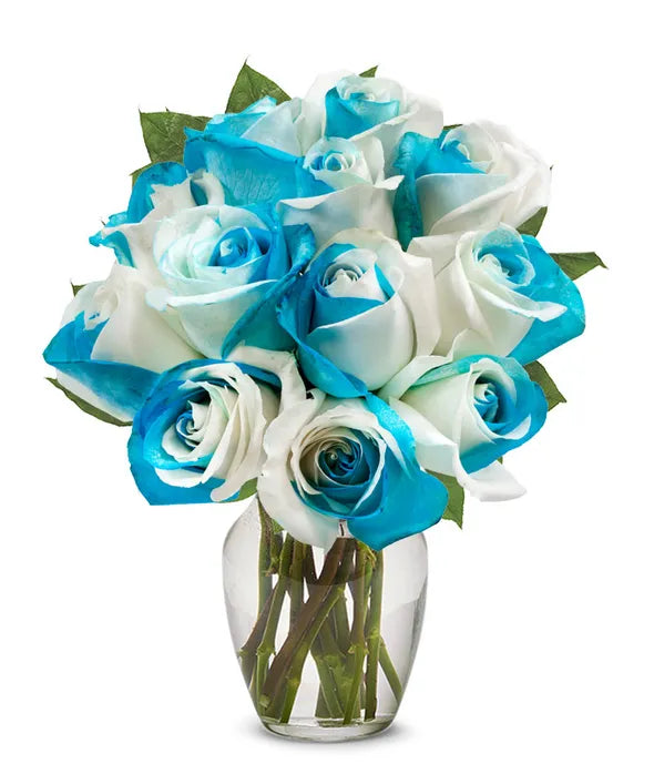 One Dozen Sea Foam Roses - ROSE GARDEN