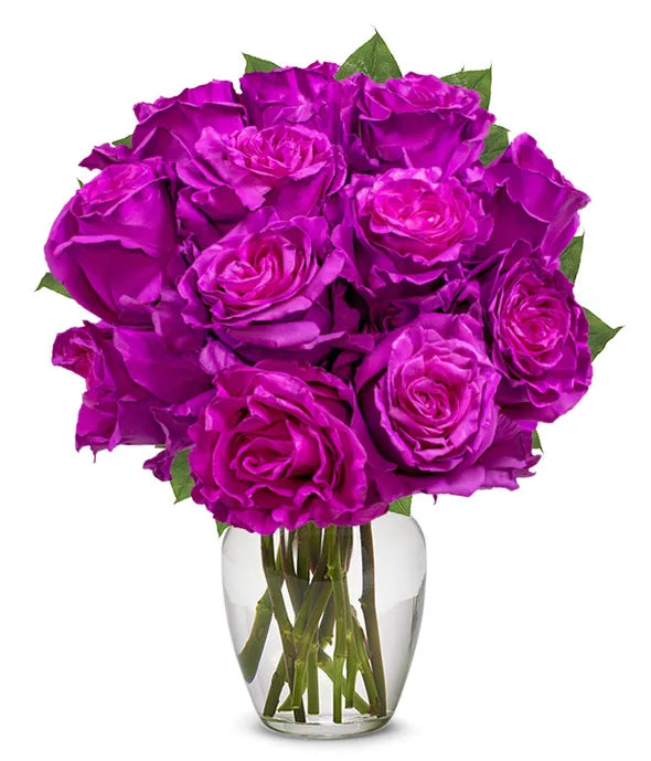 One Dozen Magenta Roses - ROSE GARDEN