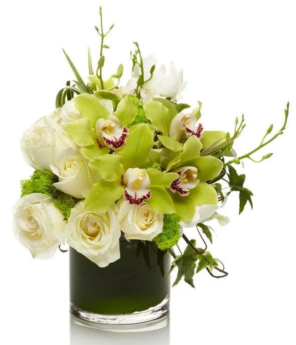 Ivory and Emerald - ROSE GARDEN