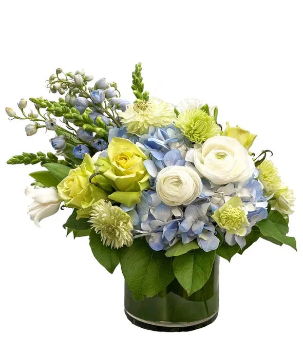 Alluring Aquamarine - ROSE GARDEN