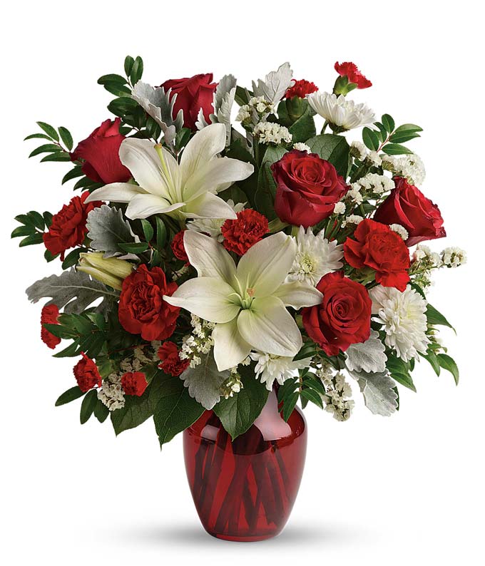 Scarlet Enchantment - ROSE GARDEN
