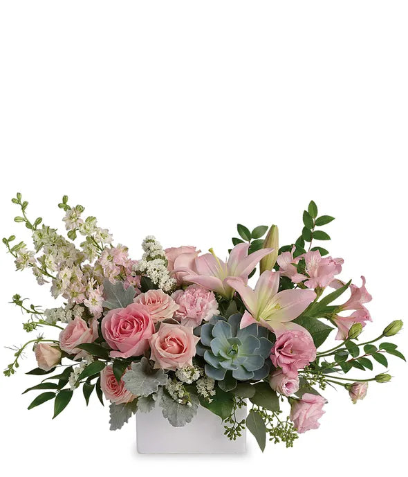 Modern Romance Succulent Arrangement - ROSE GARDEN