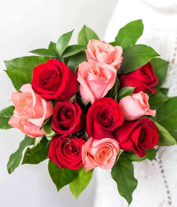 One Dozen Red and Pink Roses - ROSE GARDEN