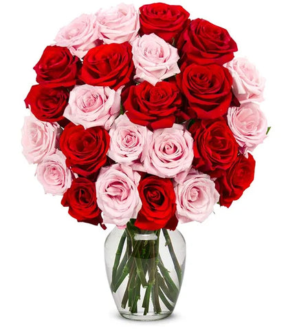 One Dozen Red and Pink Roses - ROSE GARDEN