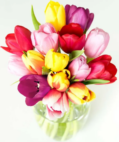Rainbow Tulip Bouquet - ROSE GARDEN