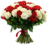 White and Red roses elegance - ROSE GARDEN