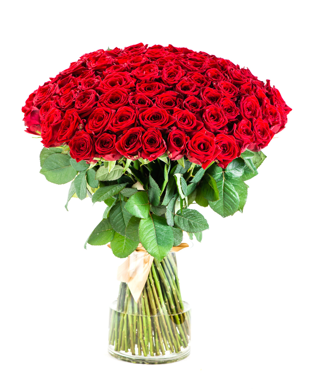 50 Stems Premium Red Roses Elegance - ROSE GARDEN
