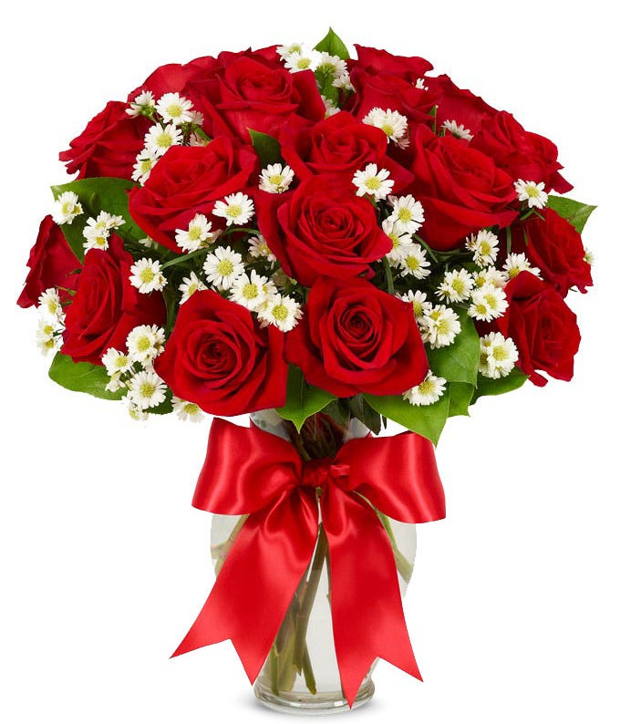 Luxury Red Roses - ROSE GARDEN
