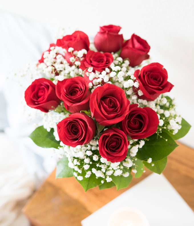 Luxury Red Roses - ROSE GARDEN