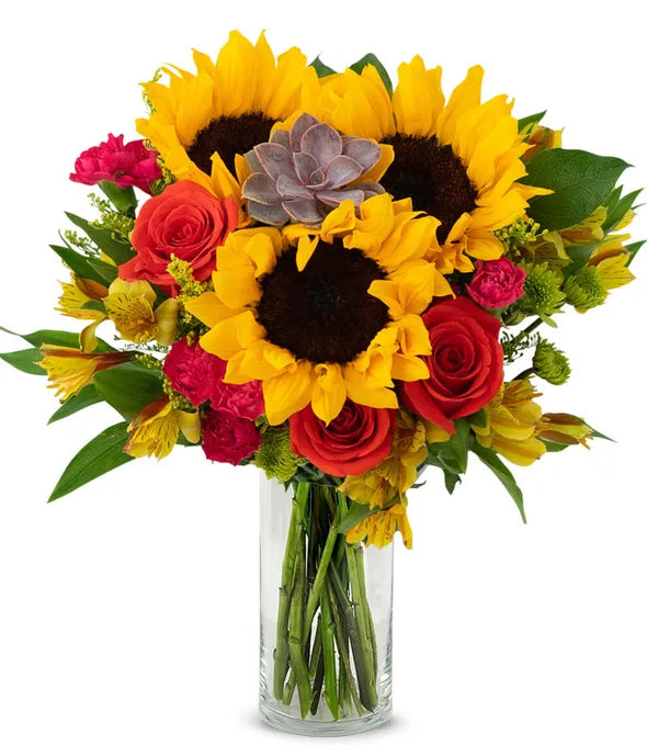 Sweetest Sunflower Succulent Bouquet  Select Your Options - ROSE GARDEN