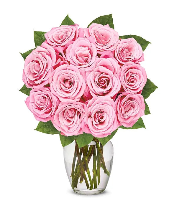 One Dozen Light Pink Roses - ROSE GARDEN
