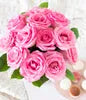 One Dozen Light Pink Roses - ROSE GARDEN