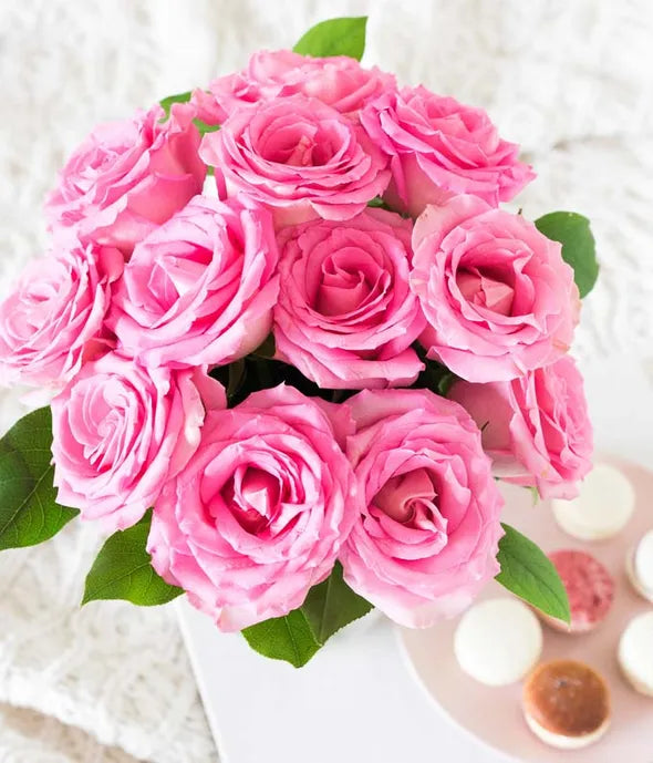 One Dozen Light Pink Roses - ROSE GARDEN