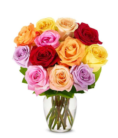One Dozen Birthday Rainbow Roses - ROSE GARDEN