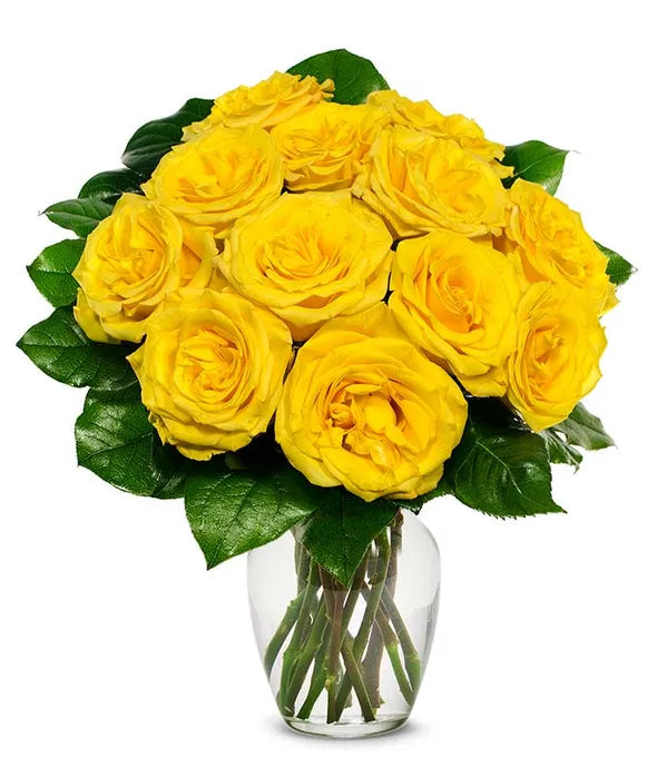 One Dozen Yellow Roses - ROSE GARDEN