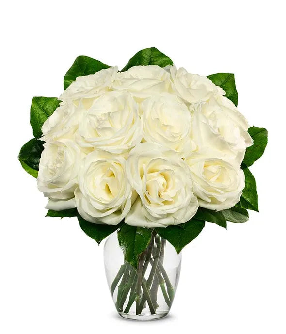 One Dozen White Roses - ROSE GARDEN