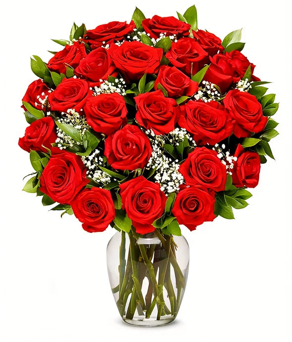 One Dozen Long Stemmed Red Roses - ROSE GARDEN