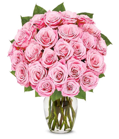 One Dozen Light Pink Roses - ROSE GARDEN