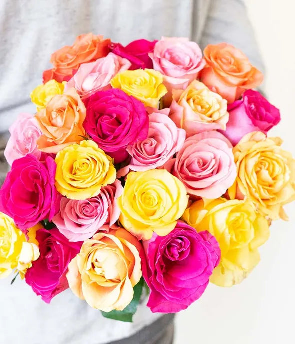 Two Dozen Rainbow Roses - ROSE GARDEN