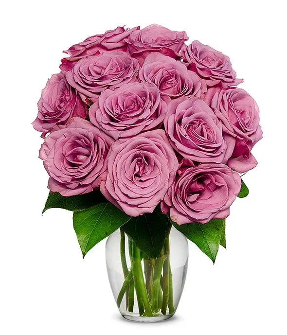 One Dozen Purple Roses - ROSE GARDEN