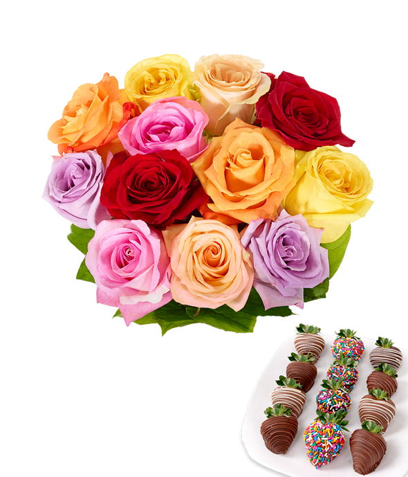 One Dozen Birthday Rainbow Roses - ROSE GARDEN