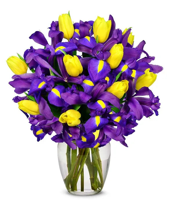 Sunny Tulip and Iris Bouquet - ROSE GARDEN