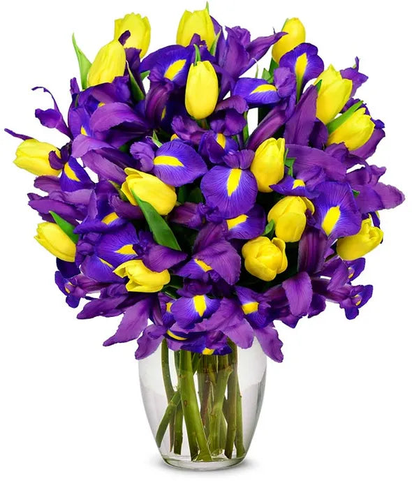 Sunny Tulip and Iris Bouquet - ROSE GARDEN