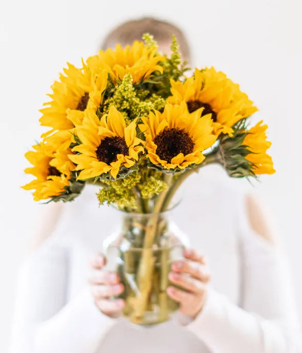Stunning Sunflowers - ROSE GARDEN