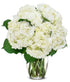 White Hydrangea Bouquet - ROSE GARDEN
