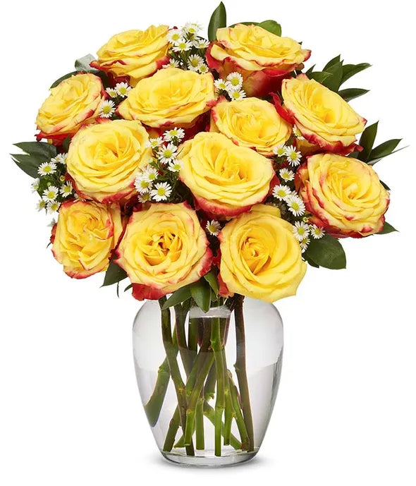 One Dozen Festive Roses - ROSE GARDEN