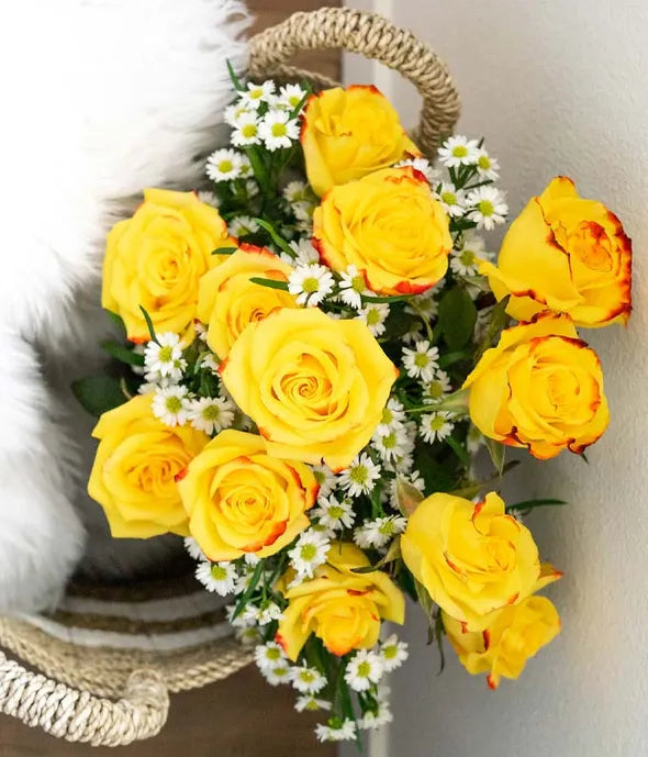 One Dozen Festive Roses - ROSE GARDEN