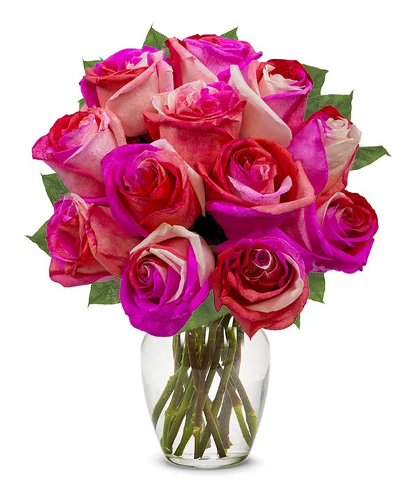 One Dozen Wild Pink Roses - ROSE GARDEN