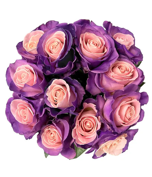 One Dozen Blushing Lavender Roses - ROSE GARDEN