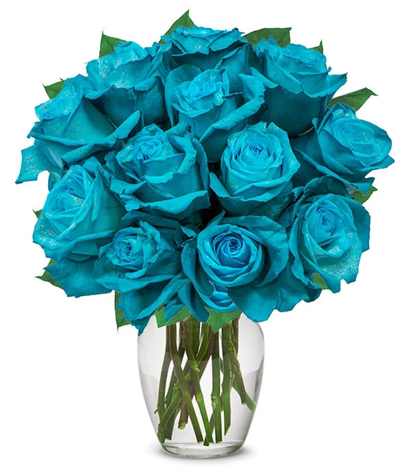 One Dozen Teal Roses - ROSE GARDEN