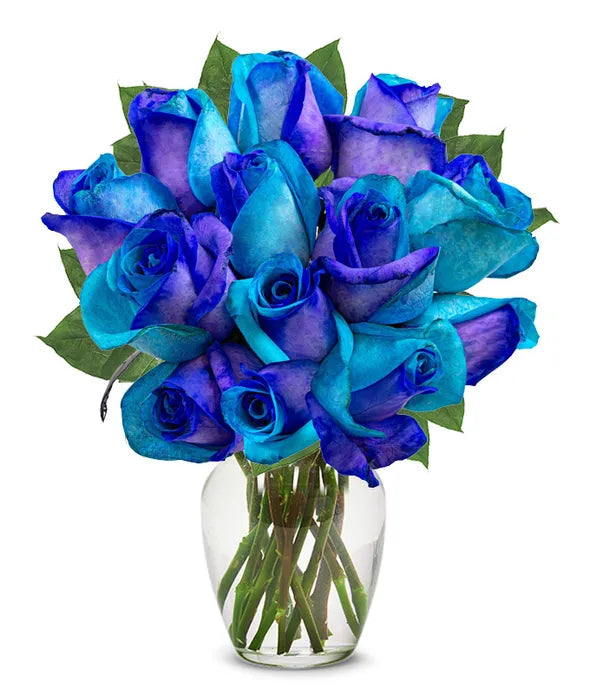 One Dozen Ocean Blue Roses - ROSE GARDEN