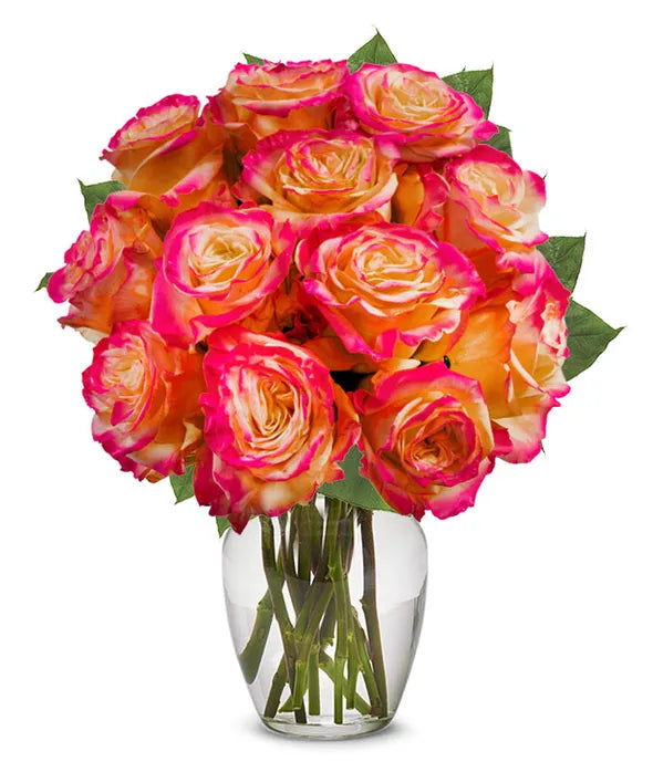 One Dozen Pop of Pink Roses - ROSE GARDEN
