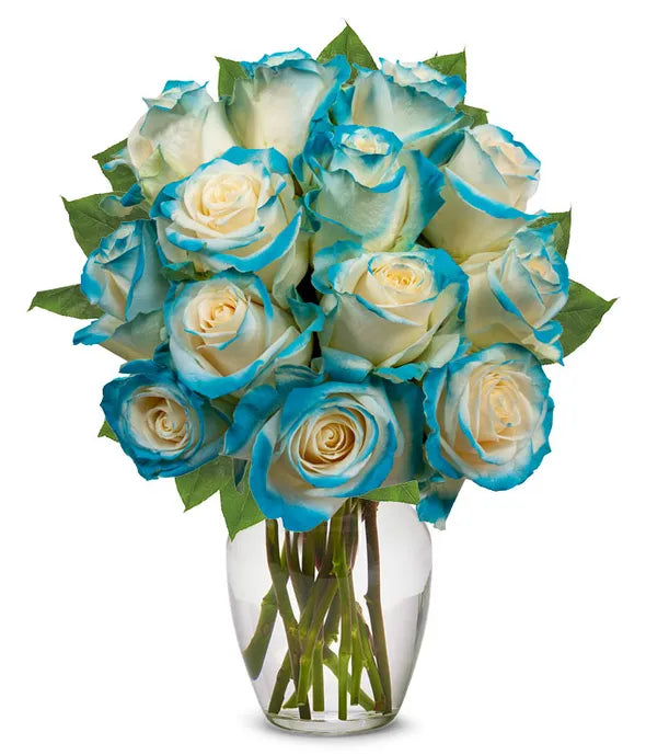 One Dozen Aquamarine Roses - ROSE GARDEN