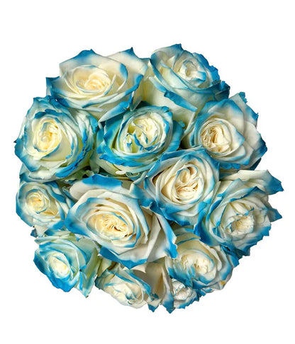 One Dozen Aquamarine Roses - ROSE GARDEN