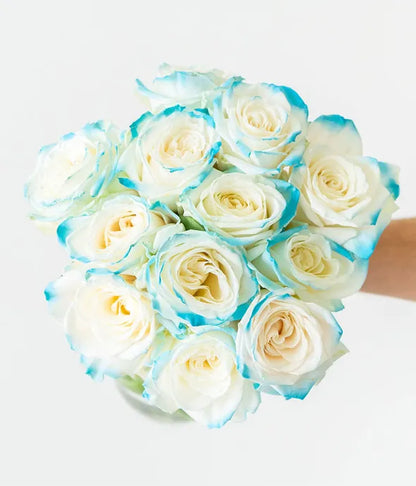 One Dozen Aquamarine Roses - ROSE GARDEN