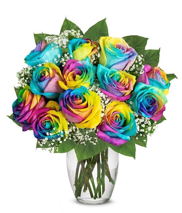 One Dozen Wild Rainbow Roses - ROSE GARDEN