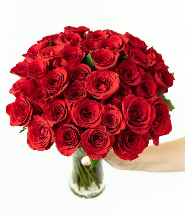 50 Stunning Long Stemmed Red Roses - ROSE GARDEN
