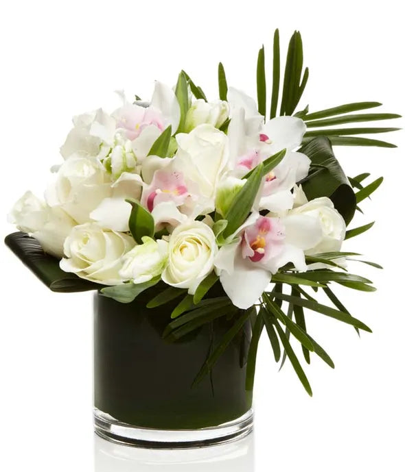 Stunning Roses &amp; Orchids - ROSE GARDEN