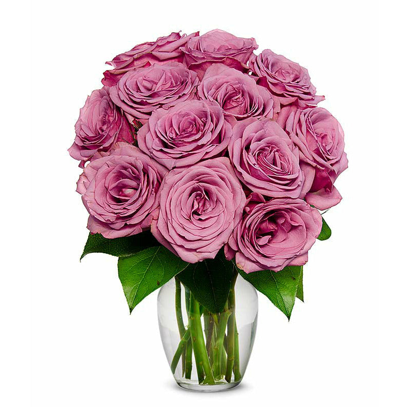 Purple Roses - ROSE GARDEN